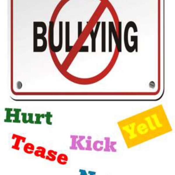 Bullying Levels 2