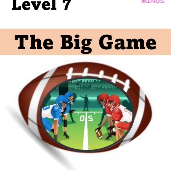 The Big Game Level 7