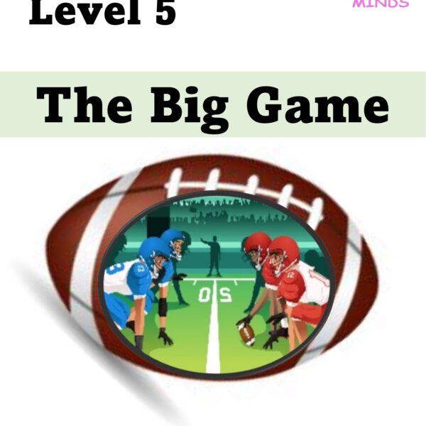 The Big Game Level 5