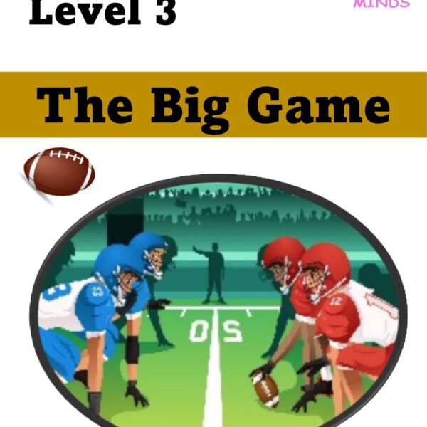The Big Game Level 3